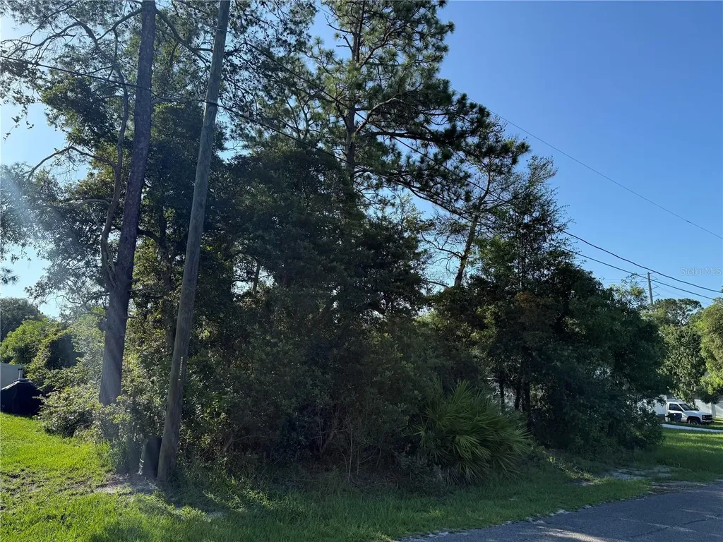 Hickory Avenue Orange City FL 32763