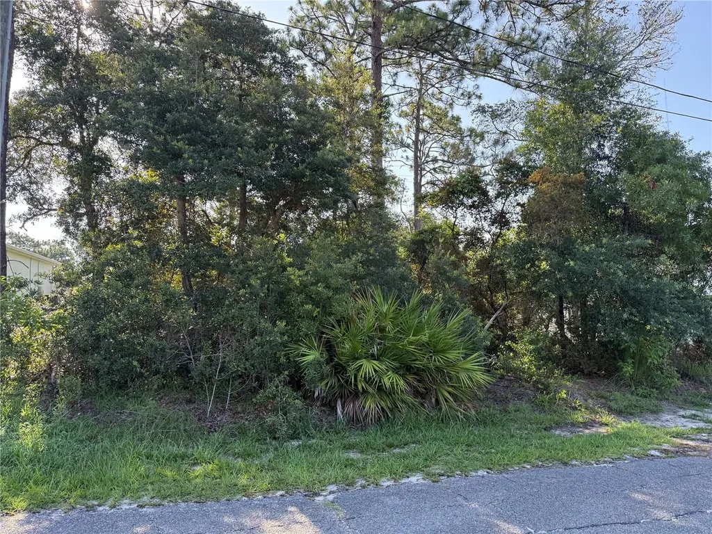 Hickory Avenue Orange City FL 32763