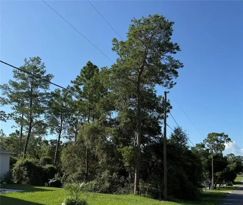 Hickory Avenue Orange City FL 32763
