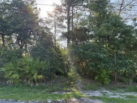 Hickory Avenue Orange City FL 32763