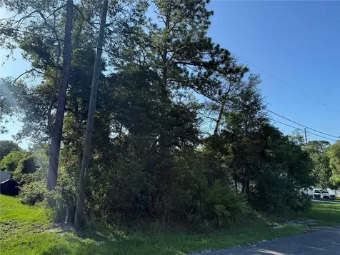 Hickory Avenue Orange City FL 32763