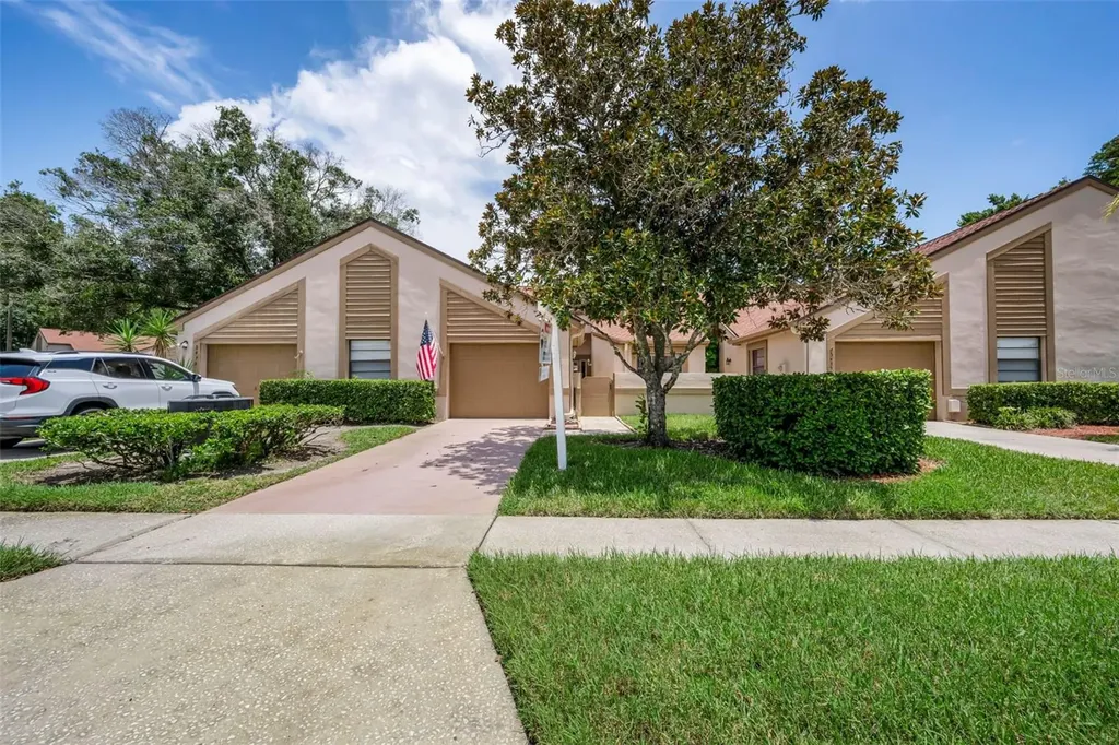 3477 Hillmoor Drive Palm Harbor FL 34685