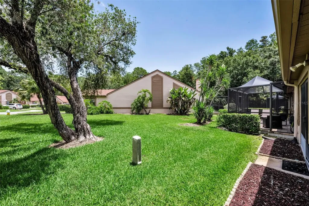3477 Hillmoor Drive Palm Harbor FL 34685
