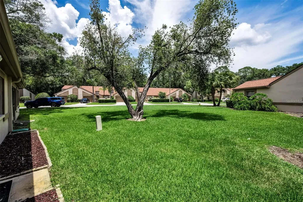 3477 Hillmoor Drive Palm Harbor FL 34685