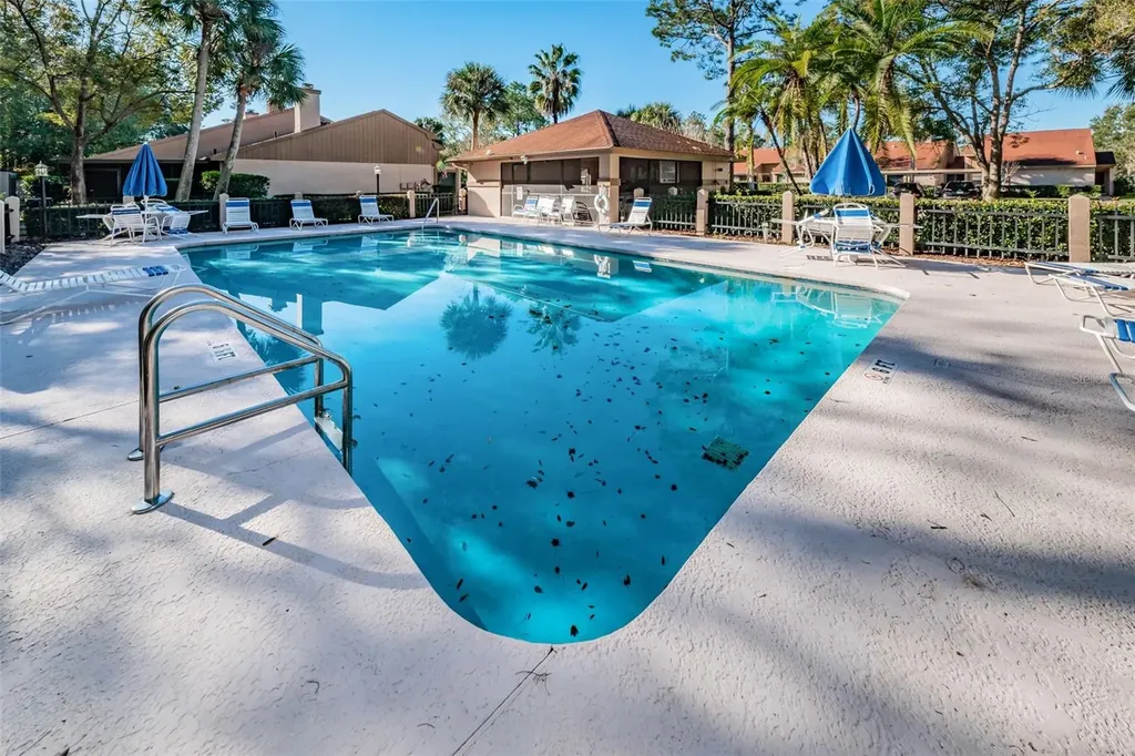 3477 Hillmoor Drive Palm Harbor FL 34685