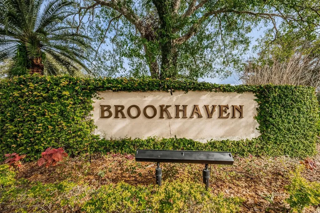 3477 Hillmoor Drive Palm Harbor FL 34685
