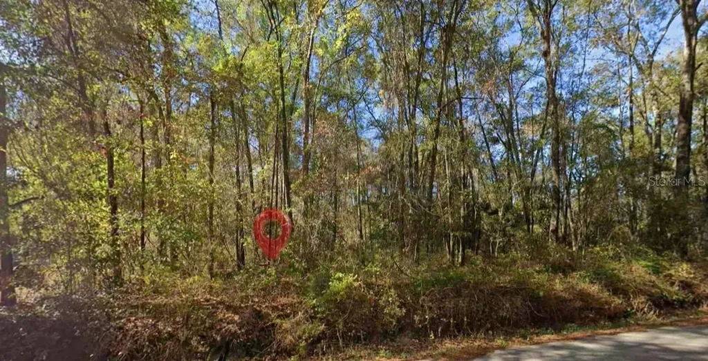 Iamonia Landing Road Tallahassee FL 32312