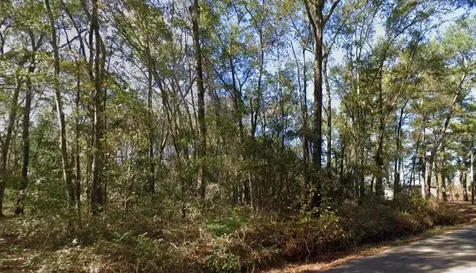 Iamonia Landing Road Tallahassee FL 32312