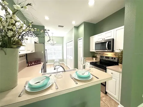 11096 Winter Crest Drive Riverview FL 33569