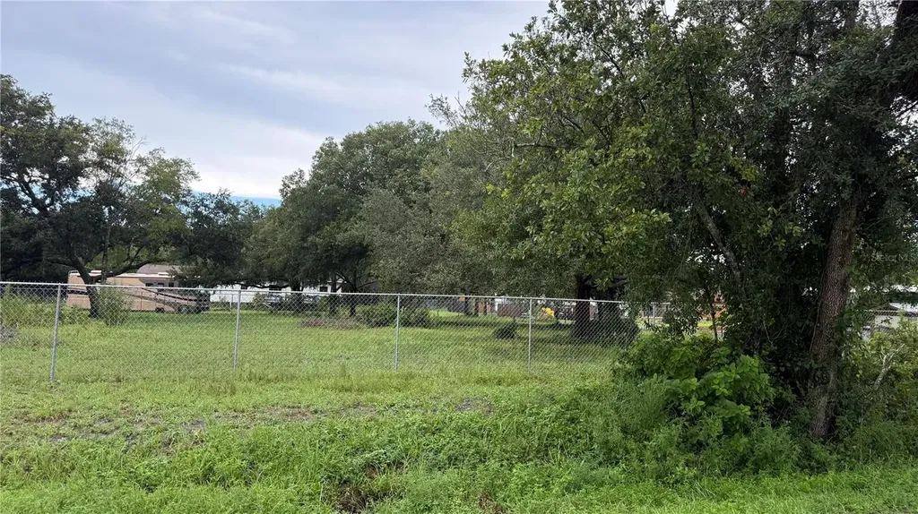 5585 Lake Lizzie Drive St Cloud FL 34771