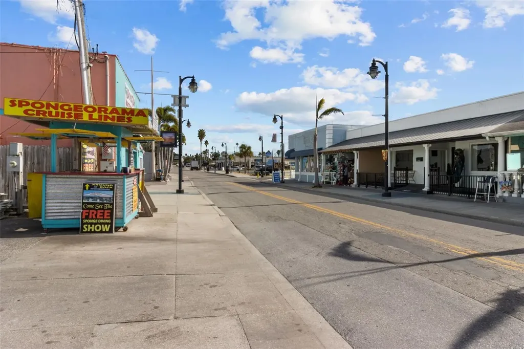 731 Brittany Park Boulevard Tarpon Springs FL 34689