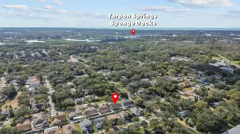 731 Brittany Park Boulevard Tarpon Springs FL 34689