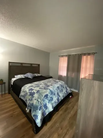 290 Flower Lane Kissimmee FL 34743
