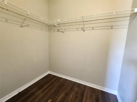 13404 Ironton Drive Tampa FL 33626
