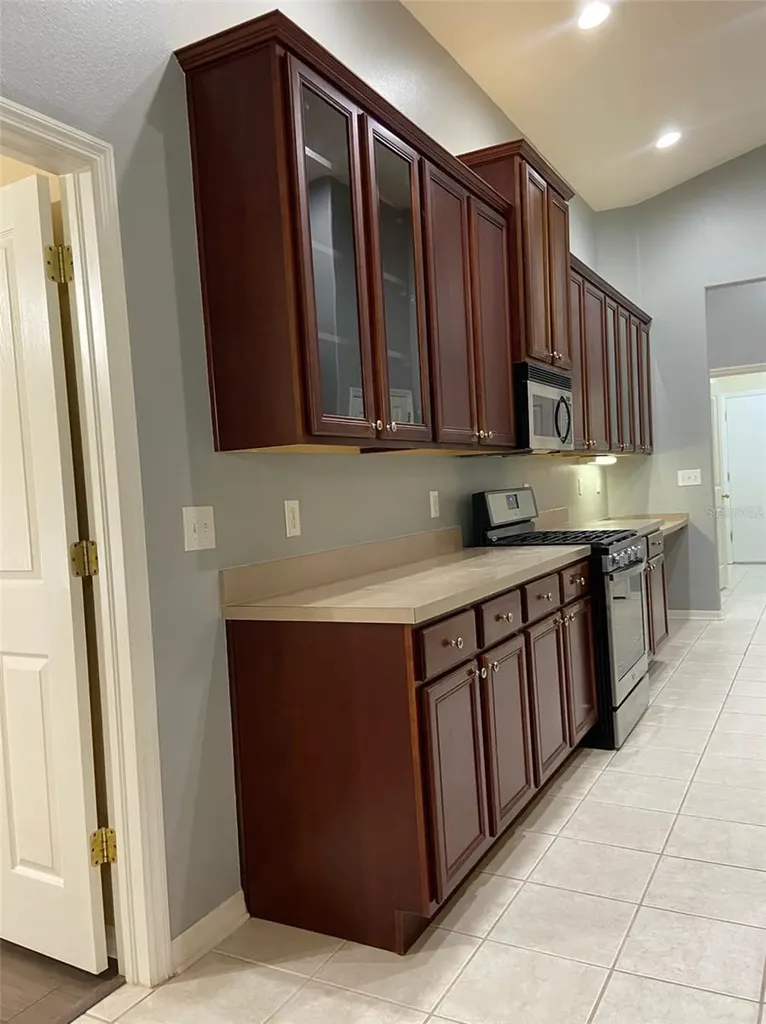 10542 San Travaso Drive Tampa FL 33647
