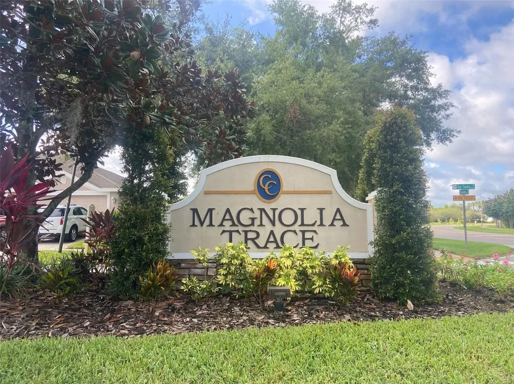 10542 San Travaso Drive Tampa FL 33647