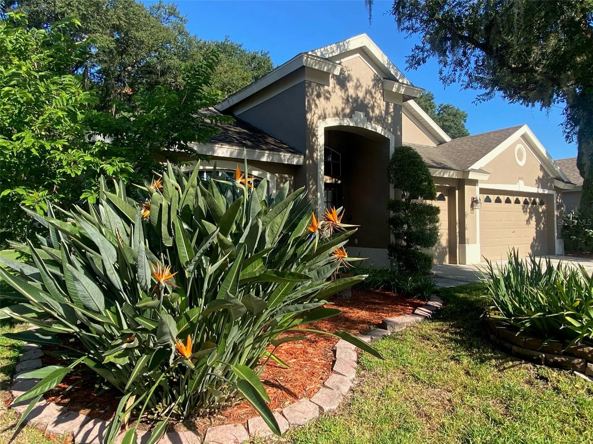 10542 San Travaso Drive Tampa FL 33647