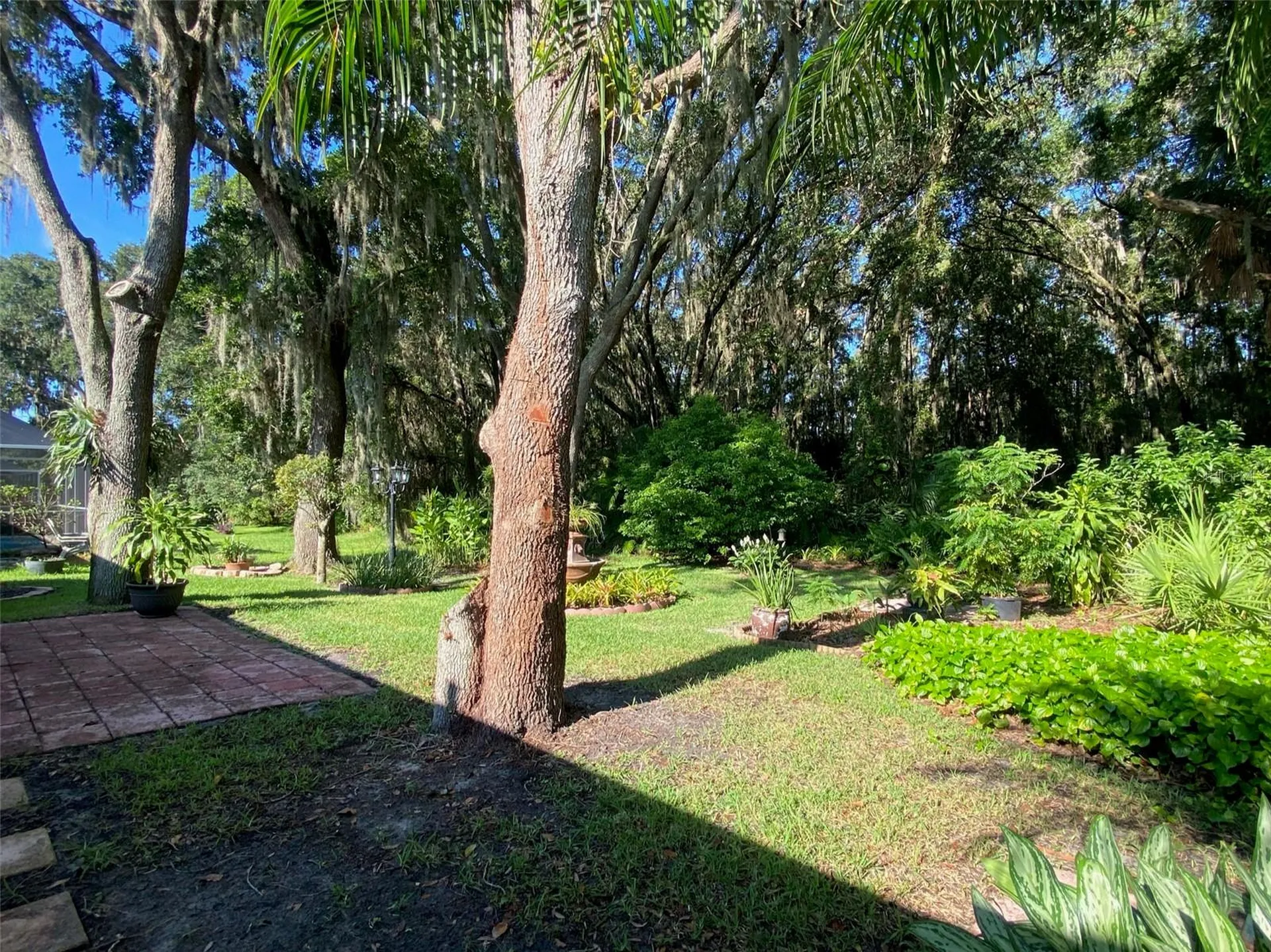 10542 San Travaso Drive Tampa FL 33647