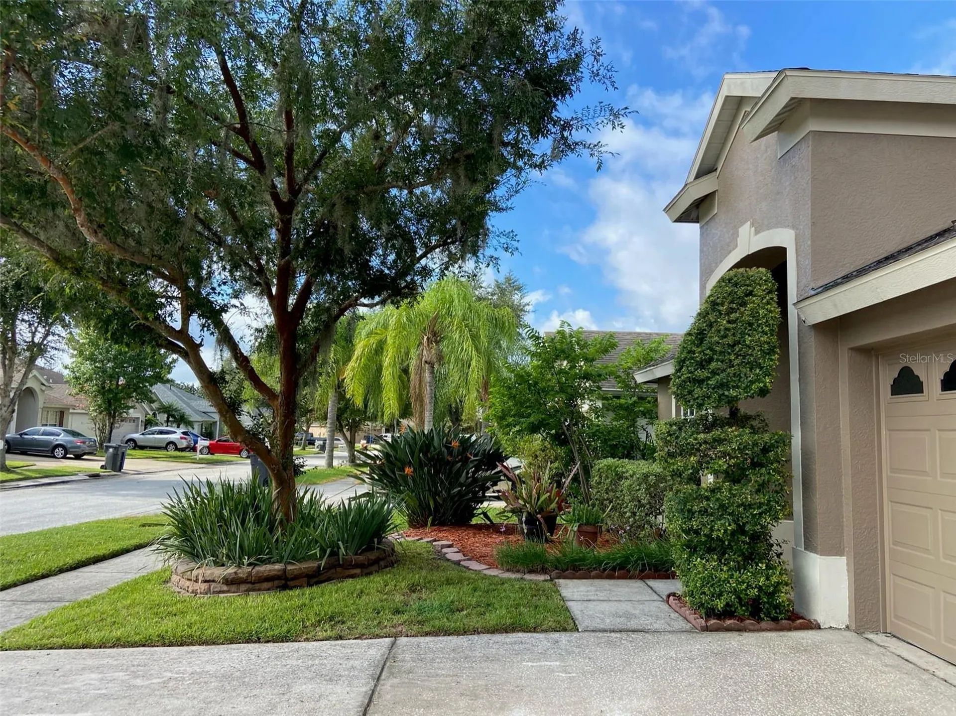10542 San Travaso Drive Tampa FL 33647