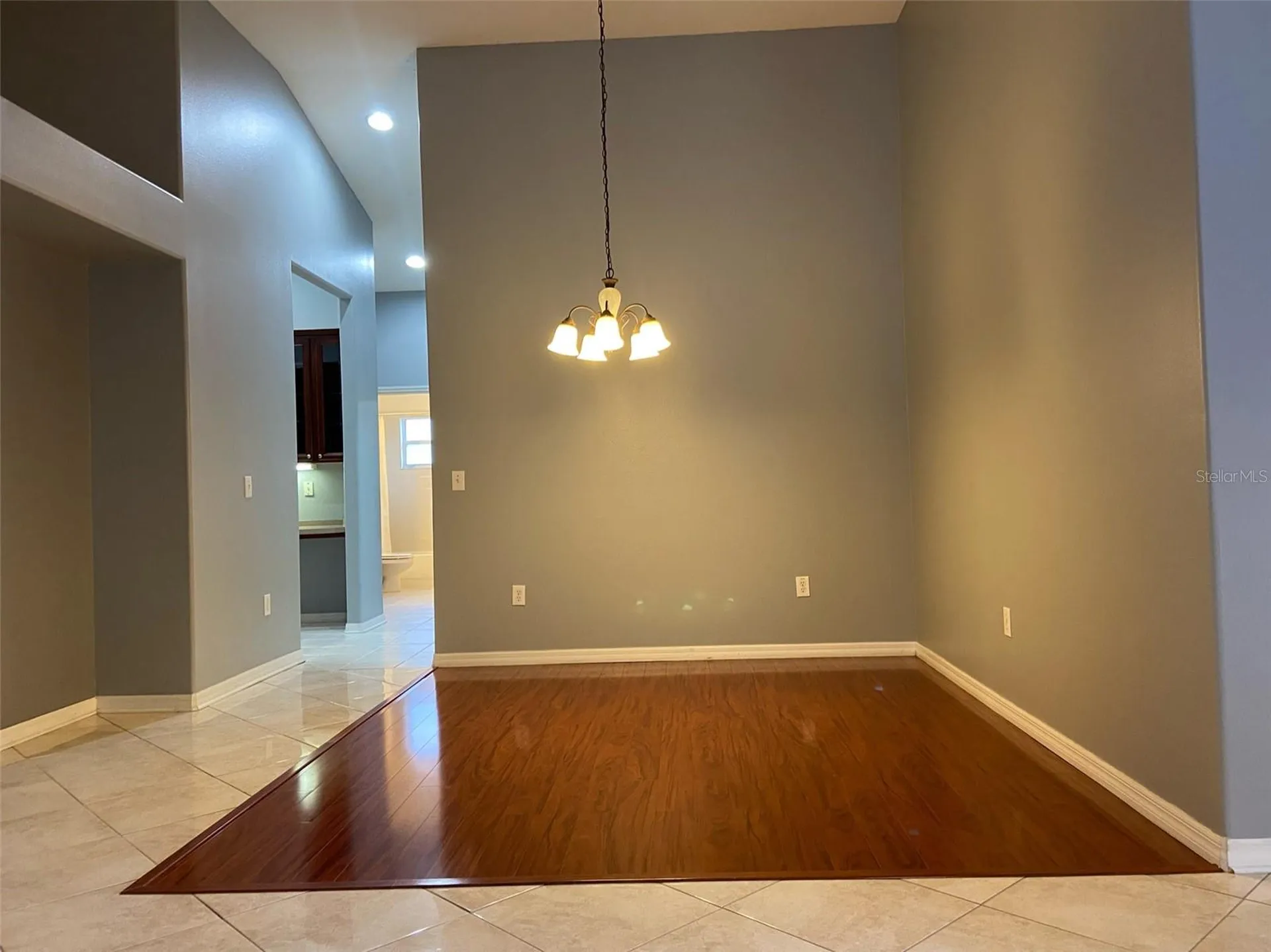 10542 San Travaso Drive Tampa FL 33647