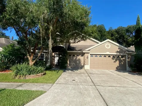 10542 San Travaso Drive Tampa FL 33647