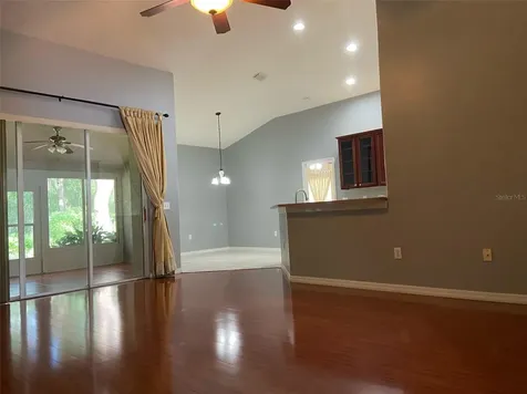 10542 San Travaso Drive Tampa FL 33647