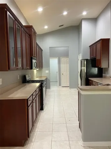 10542 San Travaso Drive Tampa FL 33647