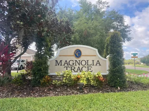 10542 San Travaso Drive Tampa FL 33647
