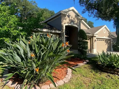 10542 San Travaso Drive Tampa FL 33647