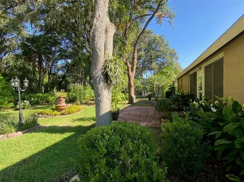 10542 San Travaso Drive Tampa FL 33647