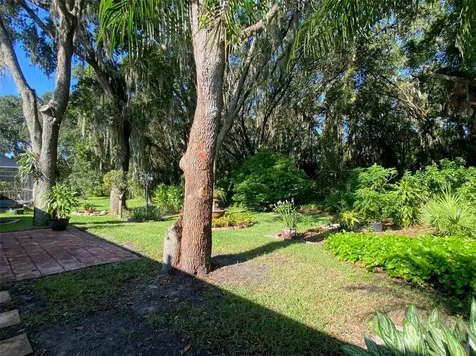 10542 San Travaso Drive Tampa FL 33647