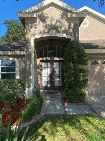 10542 San Travaso Drive Tampa FL 33647