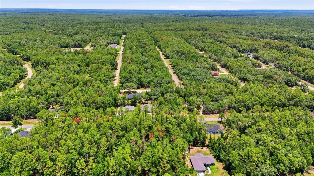 232 E Falcon Street Dunnellon FL 34434