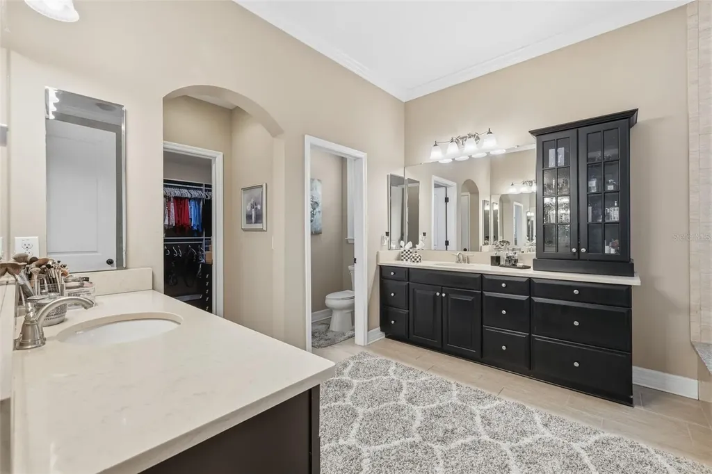 14231 Avon Farms Drive Tampa FL 33618