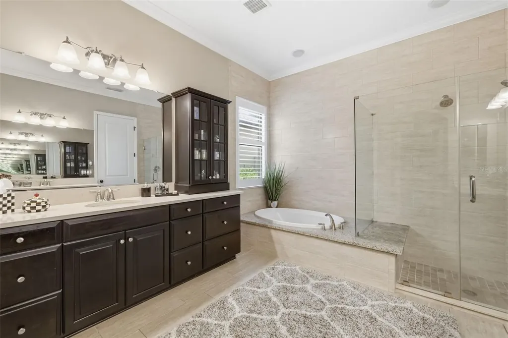 14231 Avon Farms Drive Tampa FL 33618