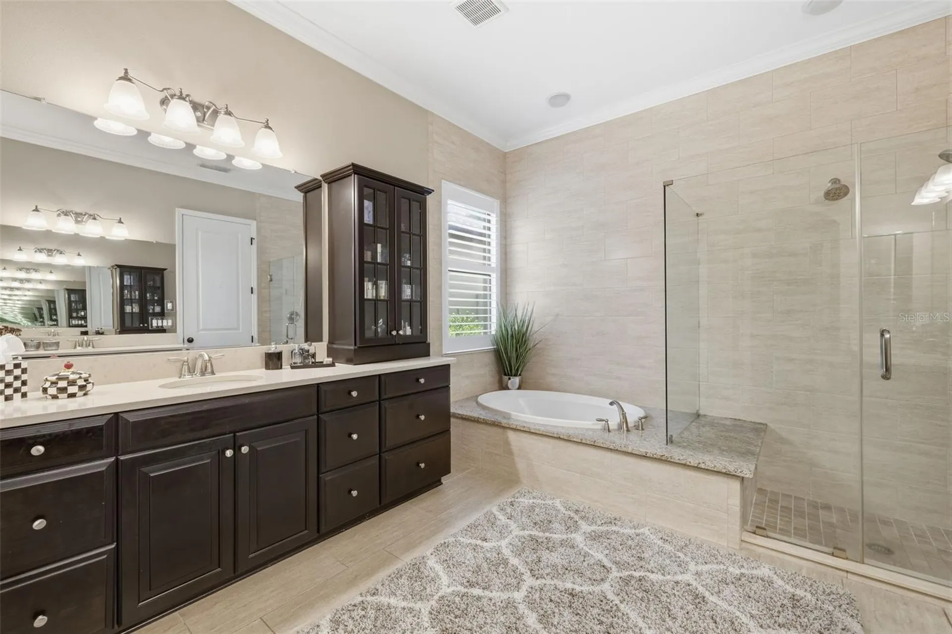 14231 Avon Farms Drive Tampa FL 33618