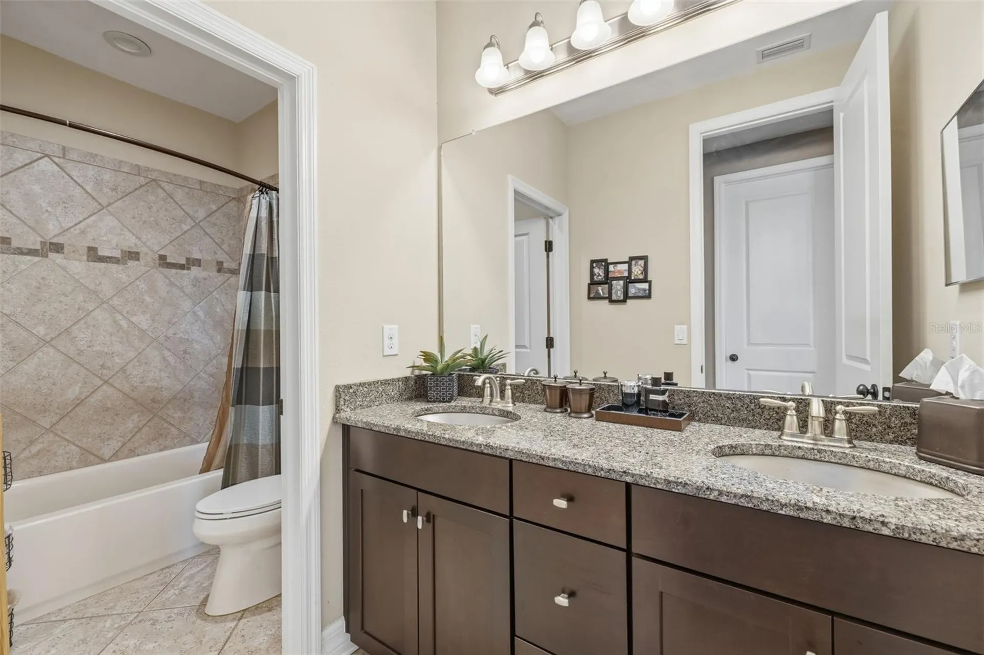 14231 Avon Farms Drive Tampa FL 33618