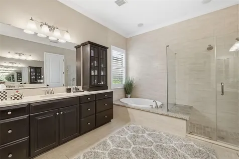 14231 Avon Farms Drive Tampa FL 33618