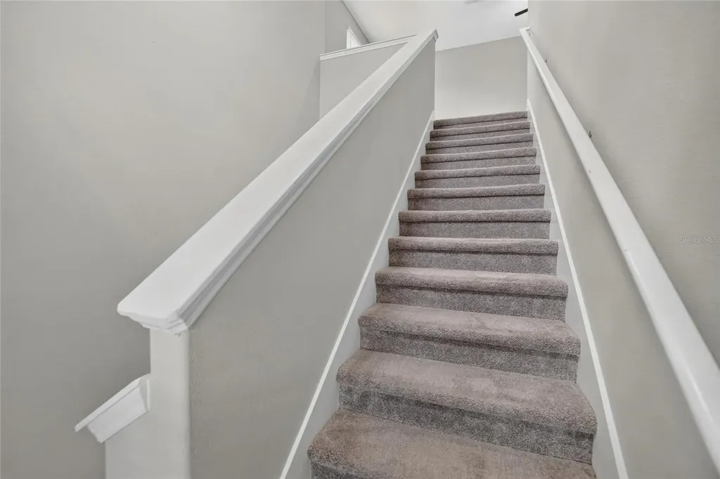 4907 Wild Senna Boulevard Tampa FL 33619