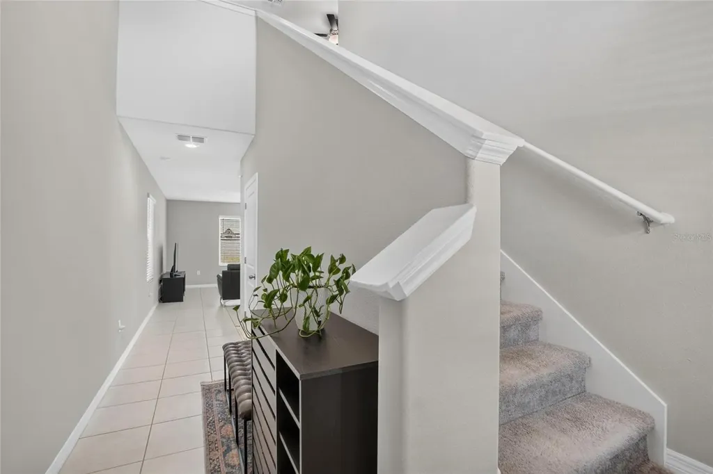4907 Wild Senna Boulevard Tampa FL 33619