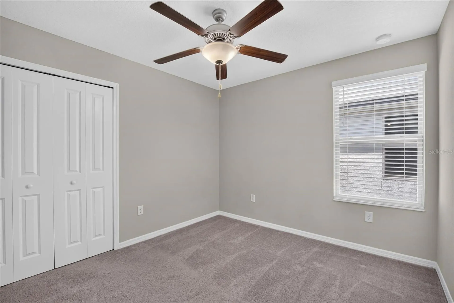 4907 Wild Senna Boulevard Tampa FL 33619