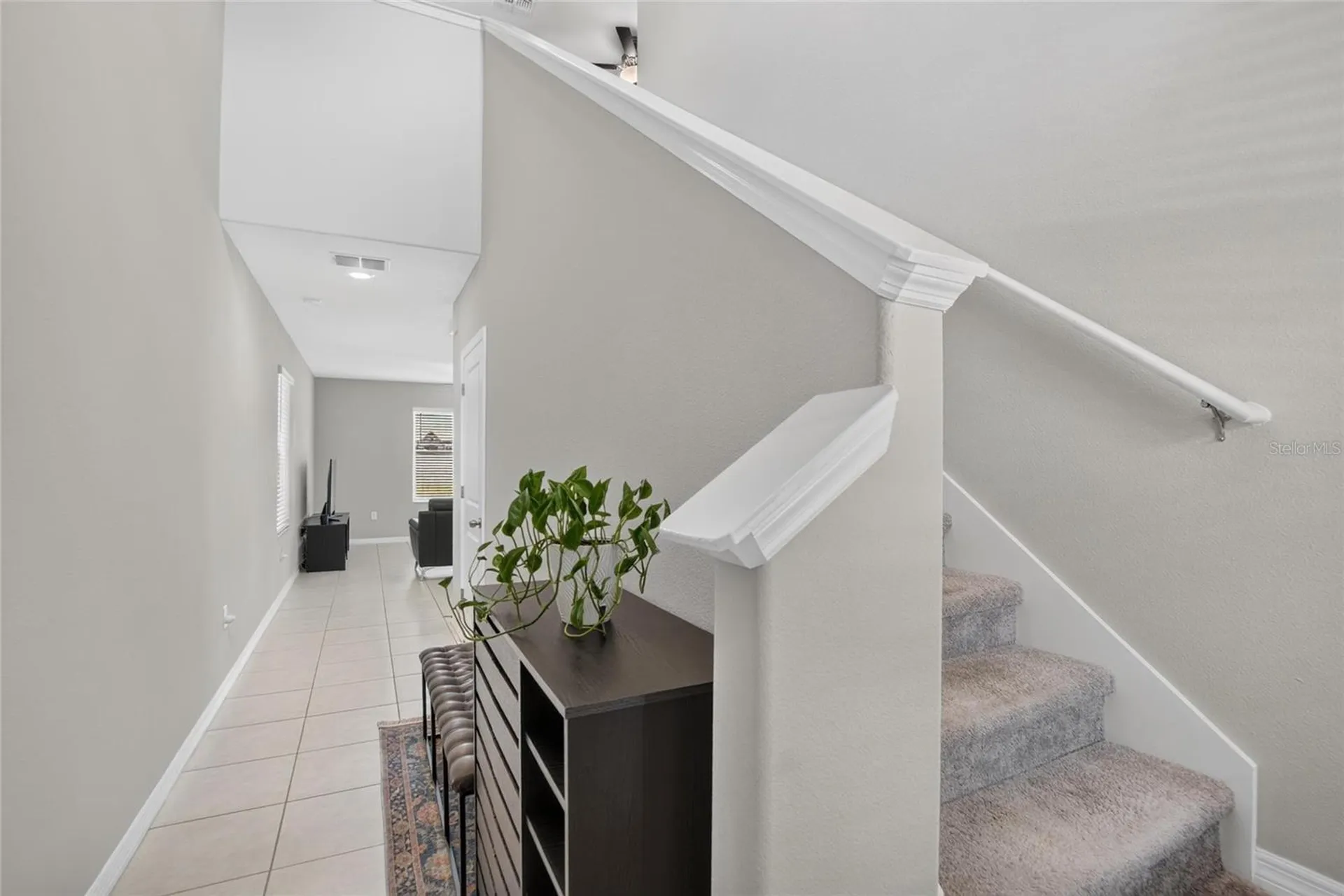 4907 Wild Senna Boulevard Tampa FL 33619