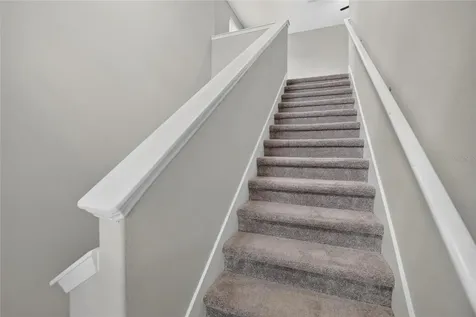 4907 Wild Senna Boulevard Tampa FL 33619
