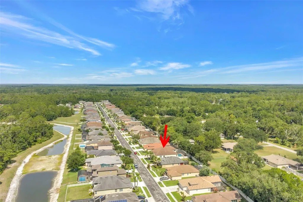 27405 Sora Boulevard Wesley Chapel FL 33544