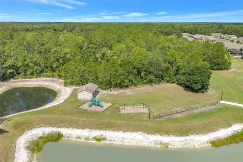 27405 Sora Boulevard Wesley Chapel FL 33544