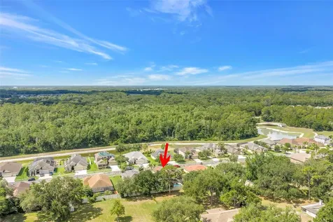 27405 Sora Boulevard Wesley Chapel FL 33544