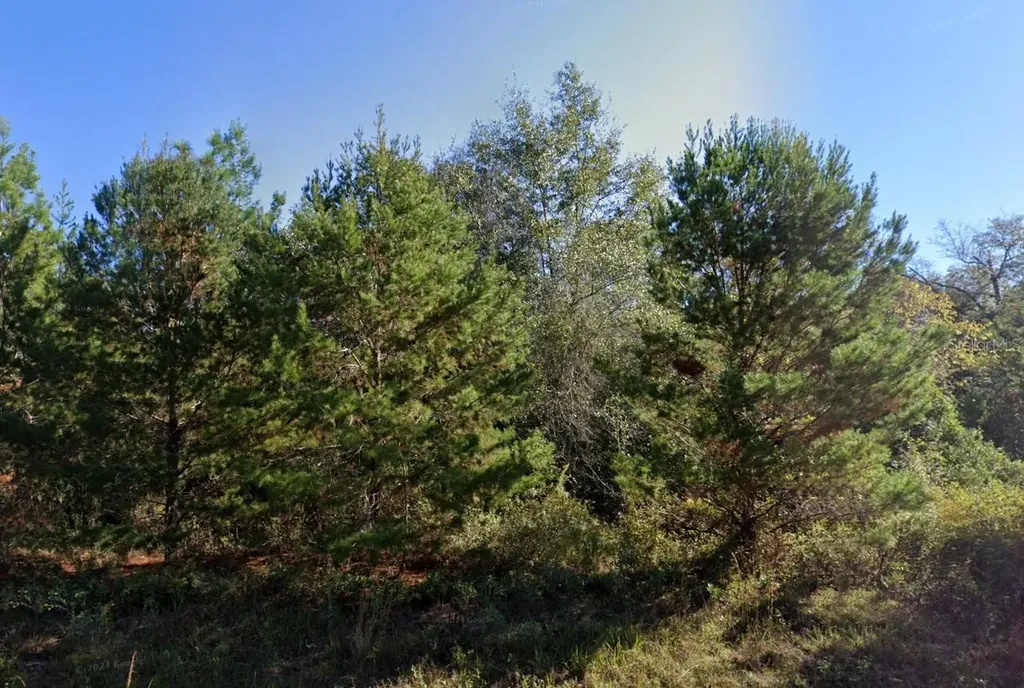 Parkview Lot 13 Drive Chipley FL 32428