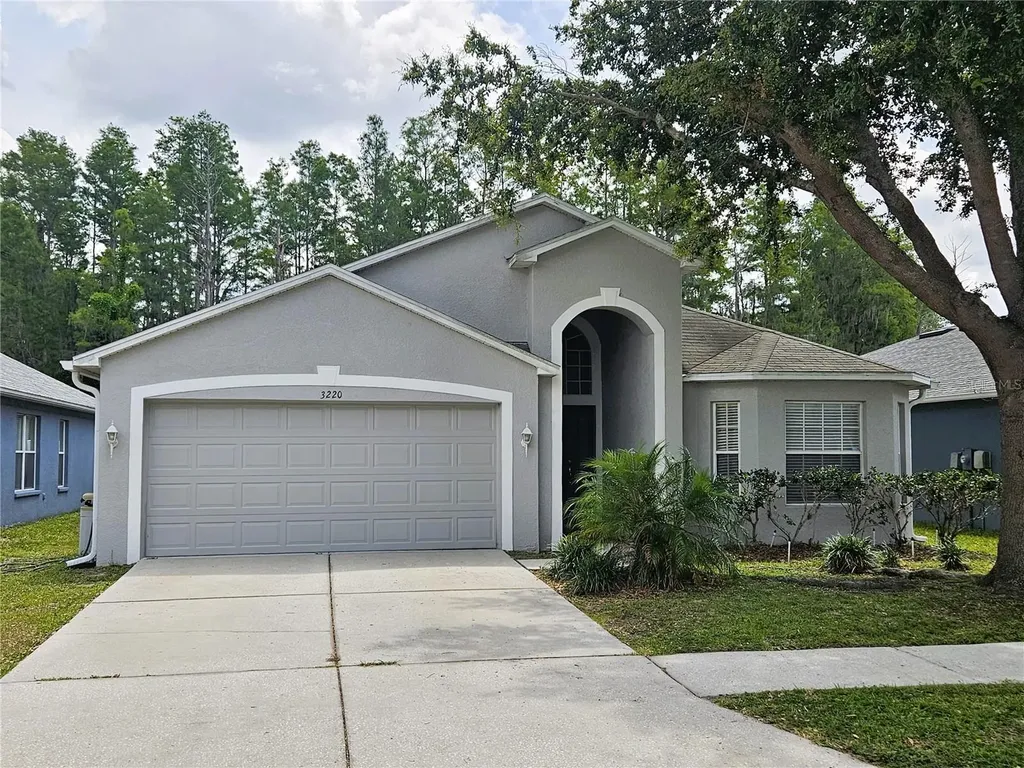 3220 Clover Blossom Circle Land O Lakes FL 34638
