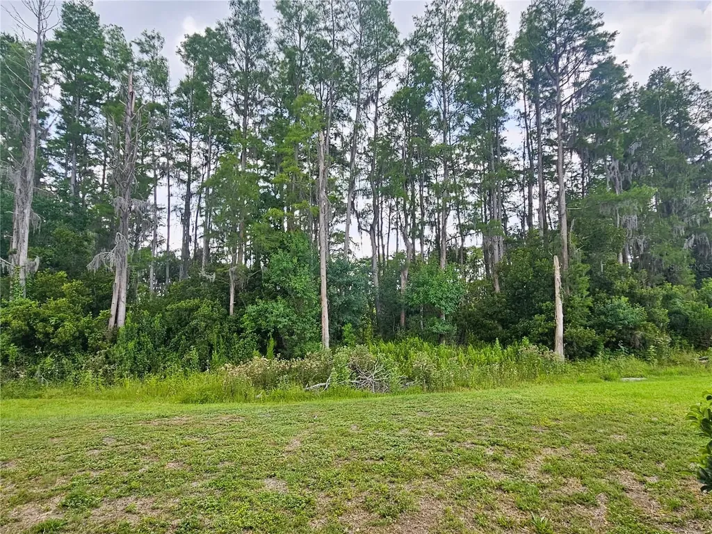 3220 Clover Blossom Circle Land O Lakes FL 34638