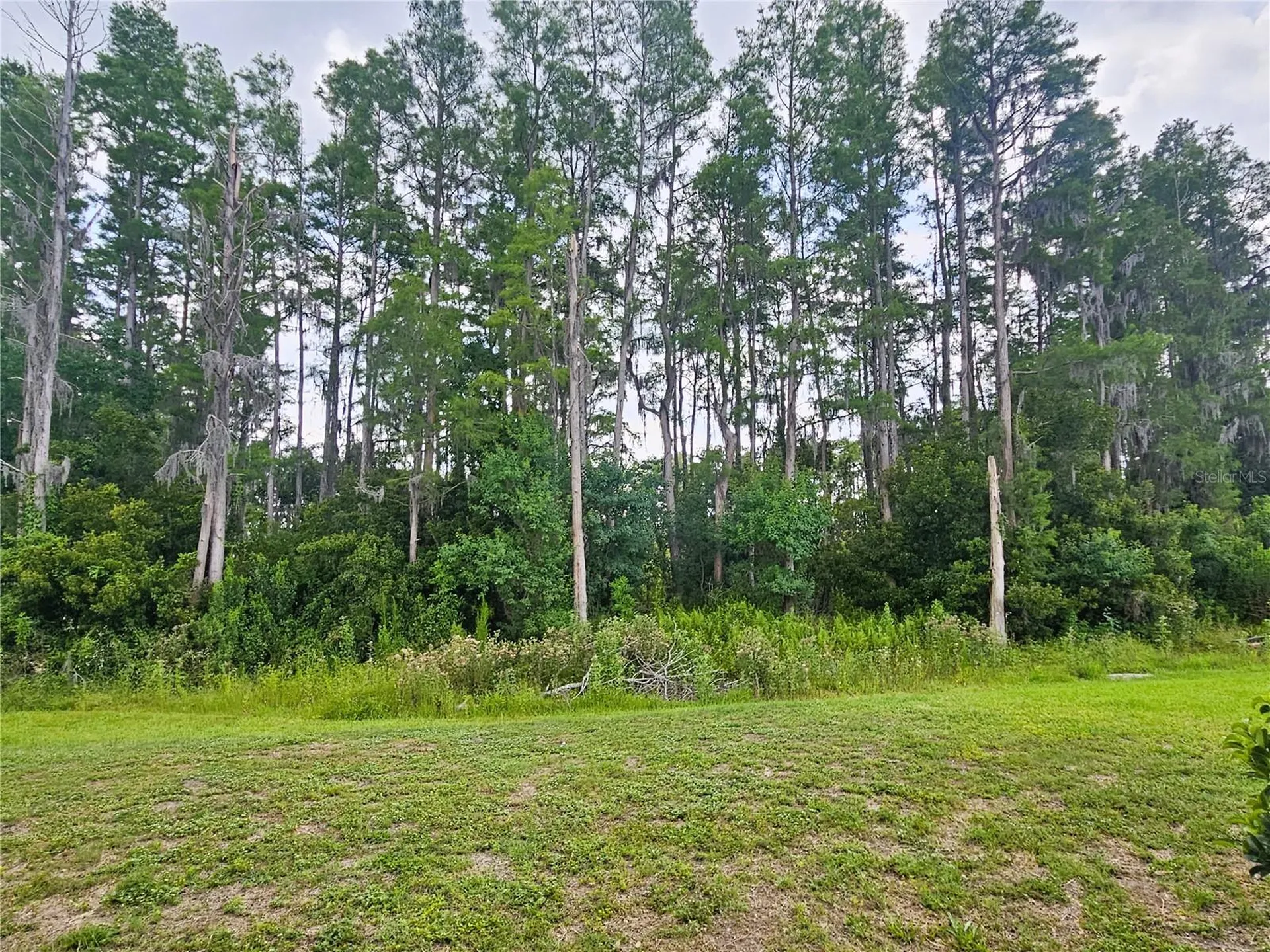 3220 Clover Blossom Circle Land O Lakes FL 34638